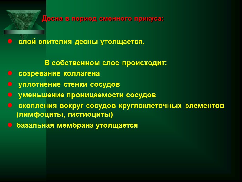Десна в период сменного прикуса:    слой эпителия десны утолщается.  